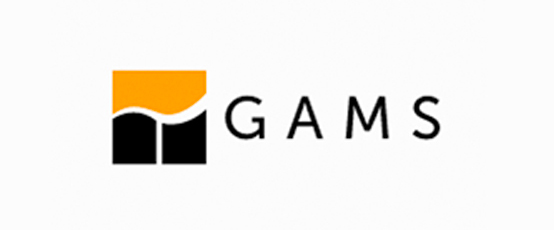 GAMS运筹规划分析软件