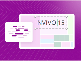 利用 NVivo 的数据可视化进行定性研究