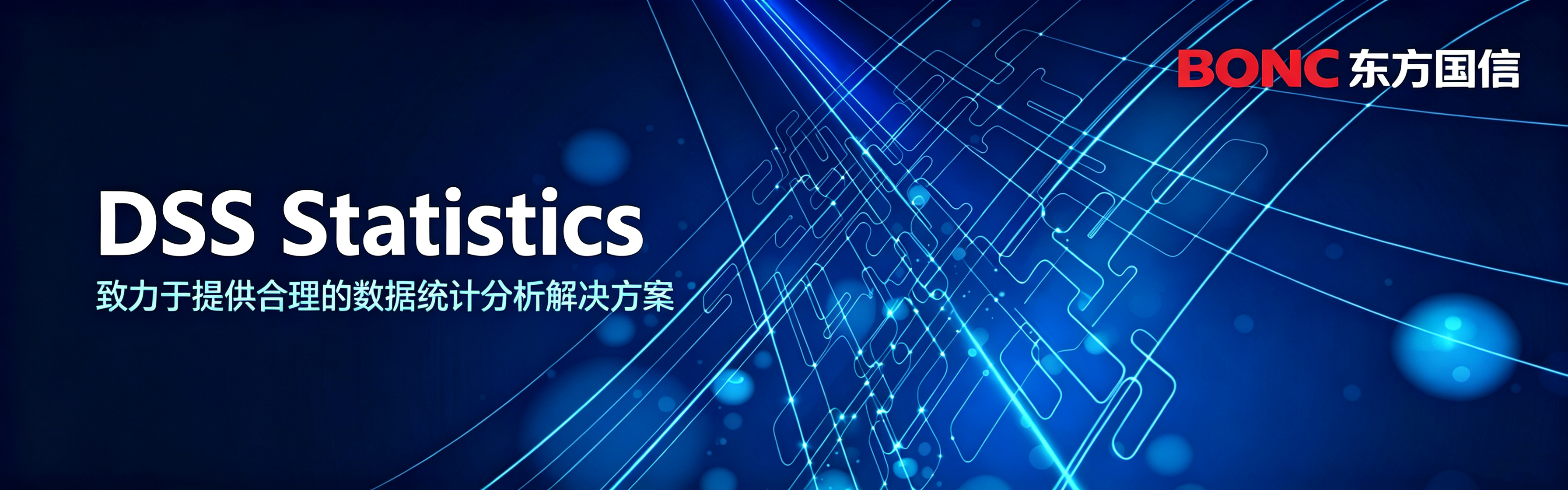 BONC DSS Statistics